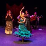 Una Noche de Flamenco