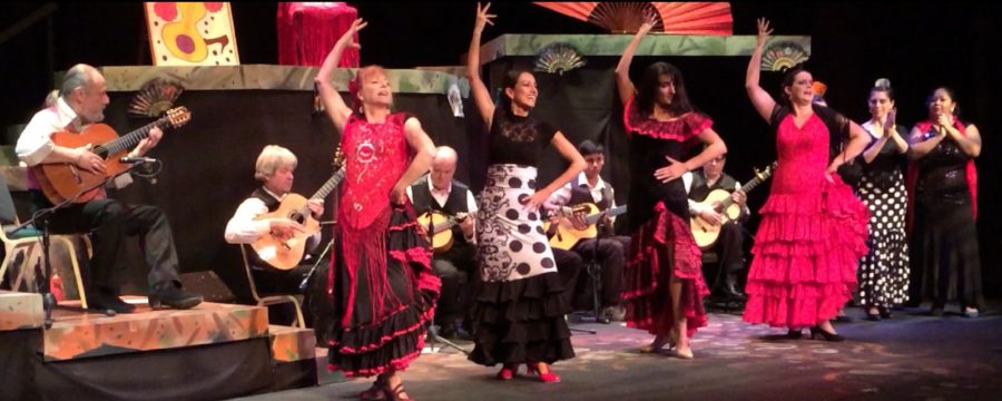Flamenco Bulerias