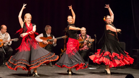 Image result for flamenco