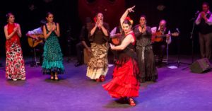 Gypsy flamenco dancer