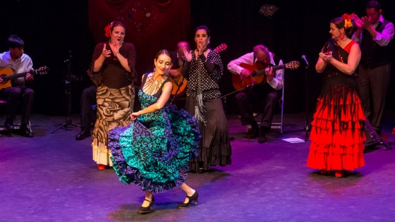 Fiesta Flamenco Dancers